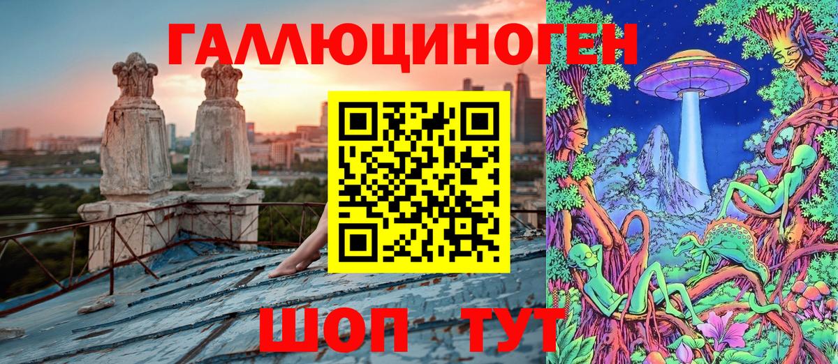 Псилоцибиновые грибы Psilocybine cubensis Лабинск
