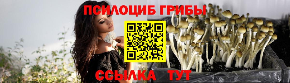Лабинск  Псилоцибиновые грибы Psilocybe  Псилоцибиновые грибы ЛСД  Вход с VPN 